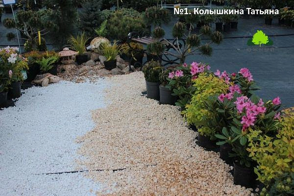 Ландшафтная композиция Колышкиной Татьяны