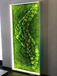 Пано Зеленый 40*40