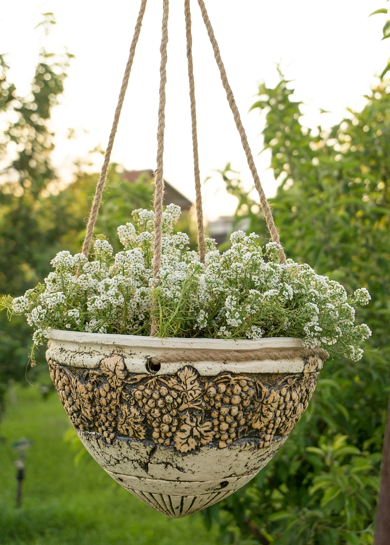 Шамот Виноград