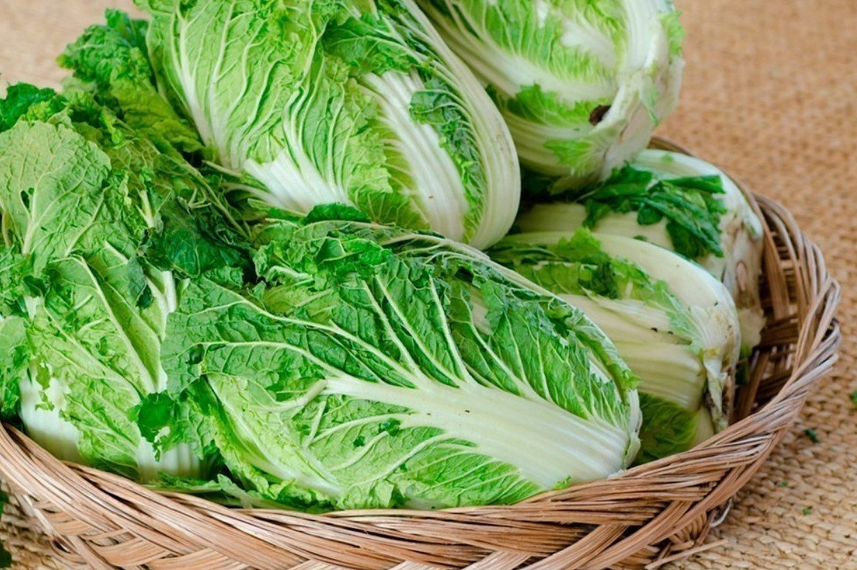 Семена Капуста пекинская