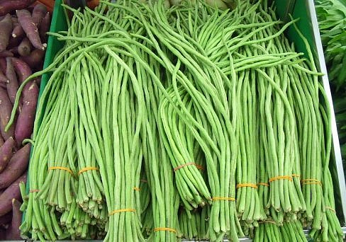 Фасоль 'Графиня'