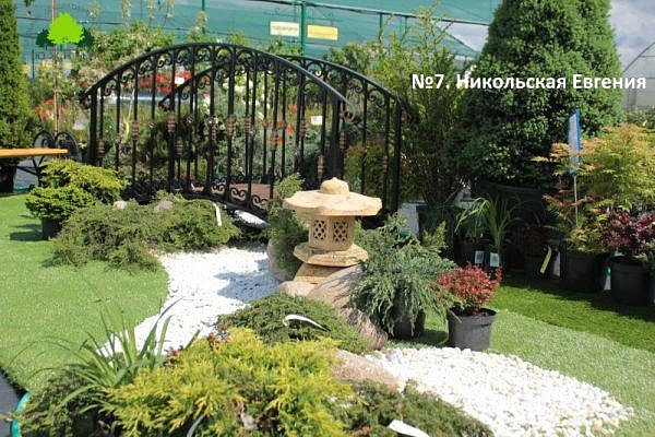 №7. Никольская Евгения