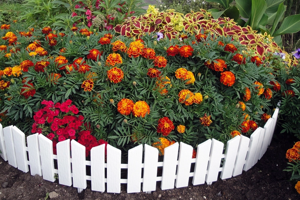 Забор декоративный №3