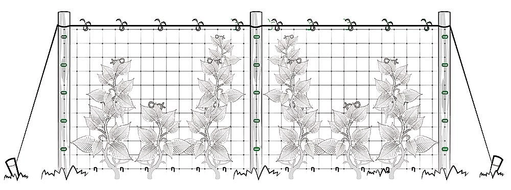 Шпалера для гороха (Черняев)