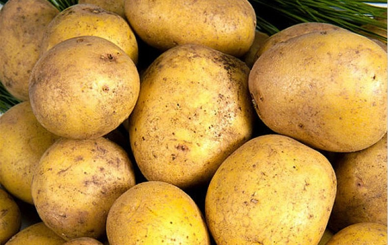 Картофель семенной МЕТЕОР (суперэлита) 