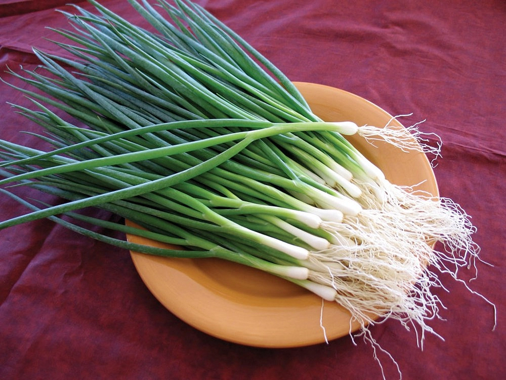 Семена Лук на зелень Белое перо 0,5г Гавриш