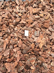 Кора сосны средняя /Эрбен/