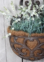 Коковита кашпо для цветов настенное полукруг BPH 51