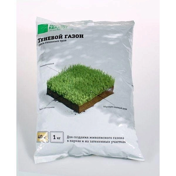 Газон Зеленый квадрат Теневой