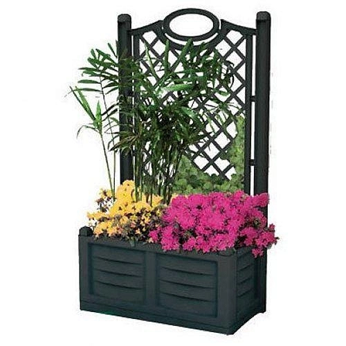 Цветник со шпалерой