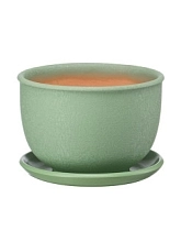 Цветник 0,8л