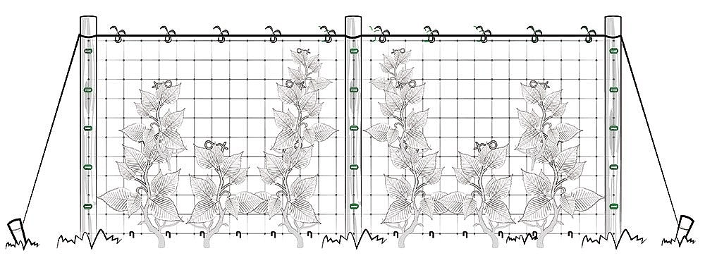 Шпалера для гороха (Черняев)