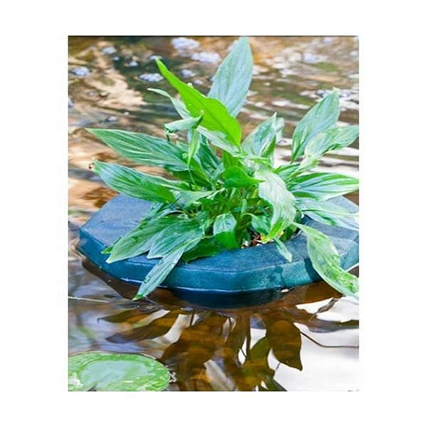 Корзина для Водных растений TZ плавающая 