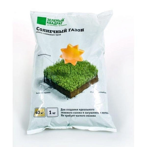 Газон Зеленый квадрат Солнечный