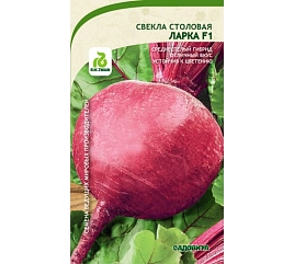 Семена Свекла