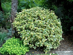 Лох Эббинге