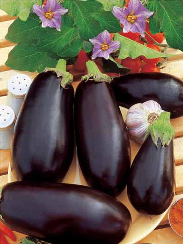 Баклажан 'Алмаз'