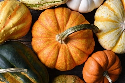 Тыква 'Мускатная'