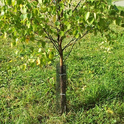 Сетка ограждение ПРОТЭКТ для саженцев от грызунов Н-100см 5м