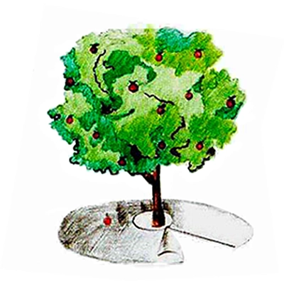 Приствольный круг Агротекс Сад 