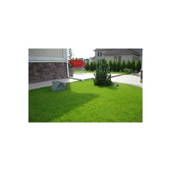 Газонные семена Полевица побегоносная КРОМИ 30гр