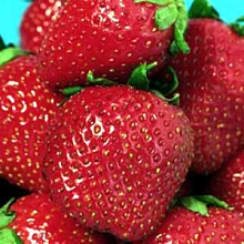 Земляника (клубника) 'Боровицкая'