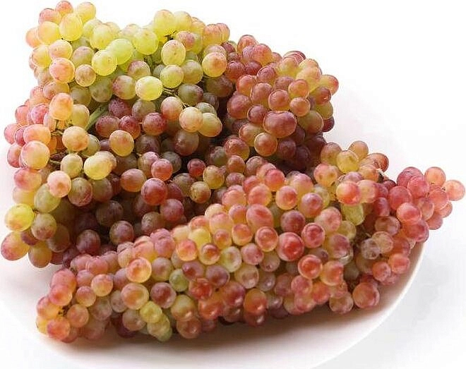 Виноград 'Кишмиш розовый'