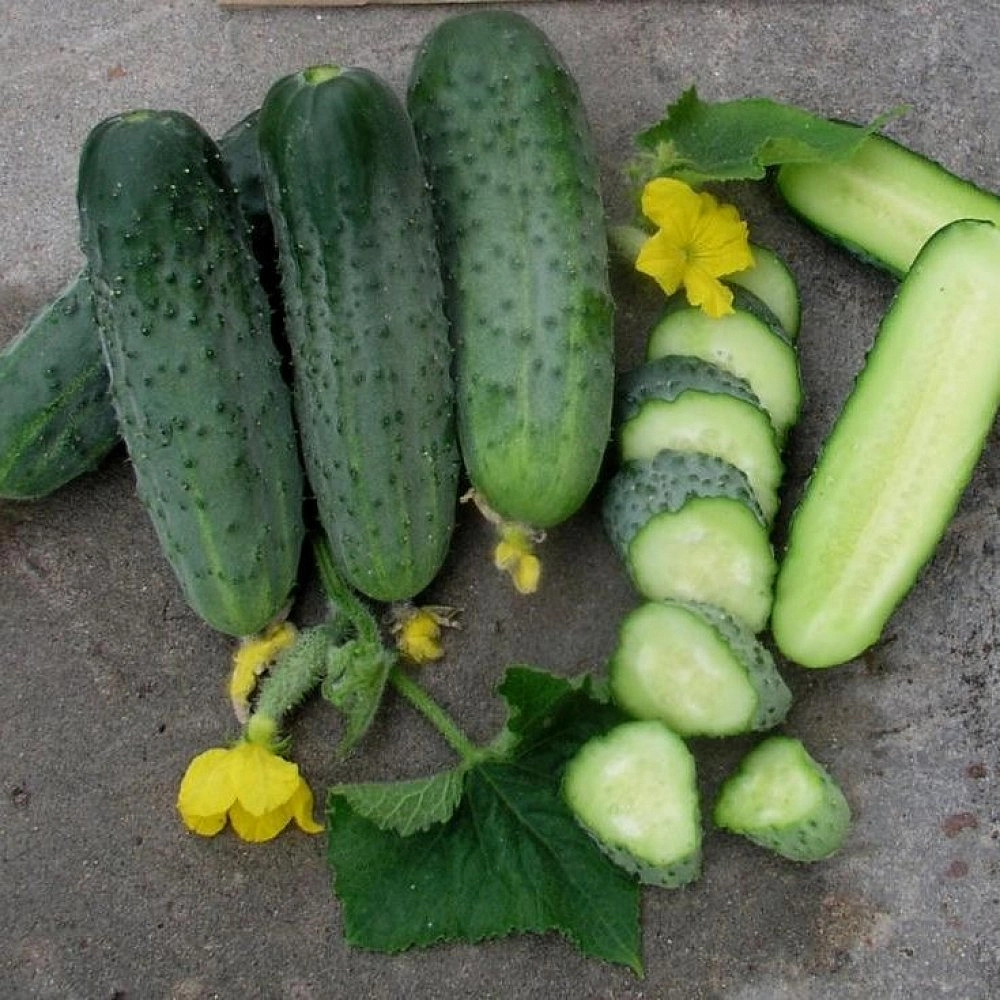 Огурец 'Аристократ'