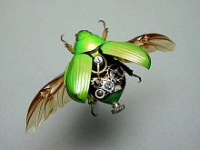 Декор садовый Насекомое на самолете