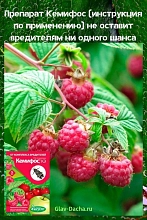 Инсектицид Кемифос