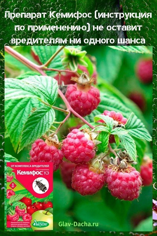 Инсектицид Кемифос