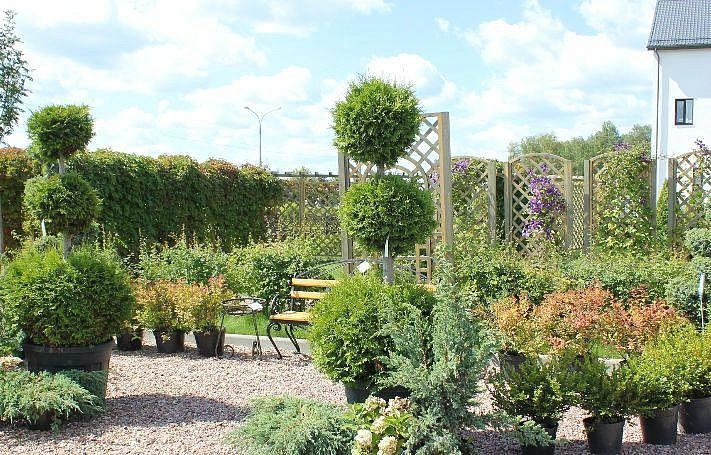 Композиция №3