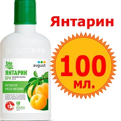Стимулятор Янтарин АВГУСТ природный регулятор роста 100мл