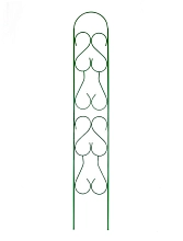 Шпалера Прямая