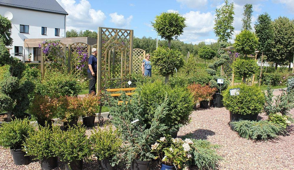 Композиция №3