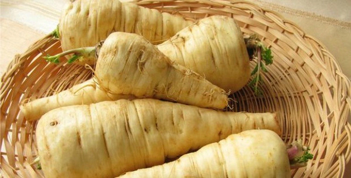 Семена Пастернак