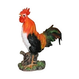 Петух на камне F07781