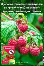 Инсектицид Кемифос