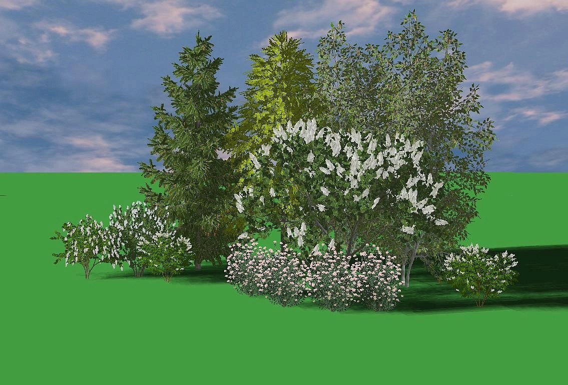 Ландшафтная композиция с сиренью №2 на опушке