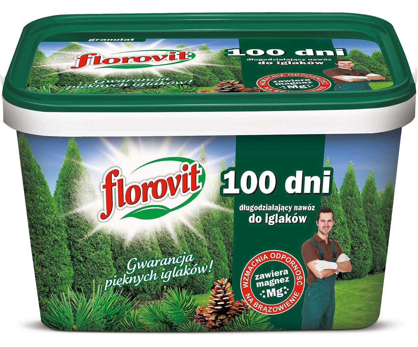 Удобрение хвойное Флоровит для туи 100 дней 