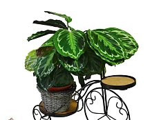 Подставка садовая Велосипед садовый 59-442 (Айронкр)