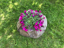 Камень декоративный кашпо (Камница) d85 / d95