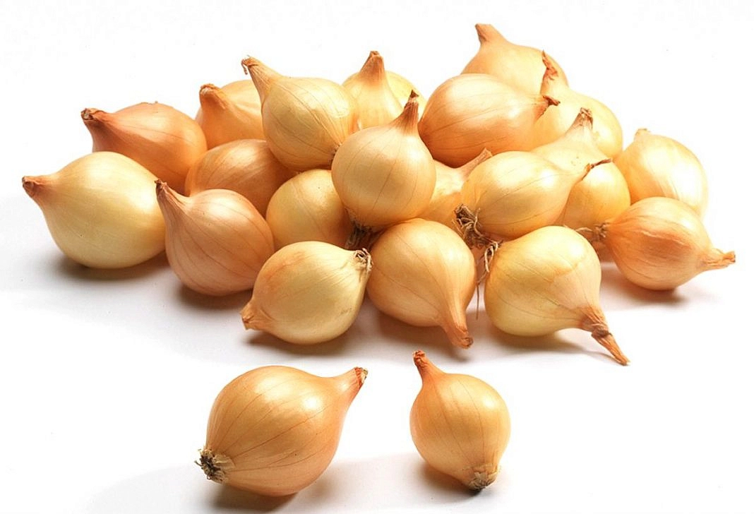 Лук-севок ГЕРКУЛЕС 10-21мм желтый 0,5кг