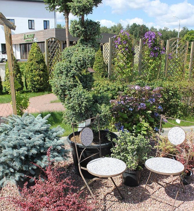 Голубая даль