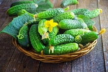 Семена Огурец