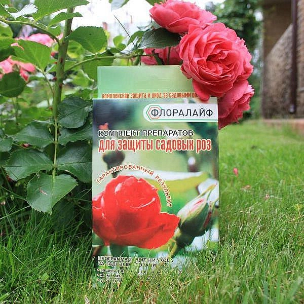 Фунгицид Комплект для защиты и ухода за садовыми Розами