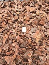 Кора сосны средняя /Эрбен/