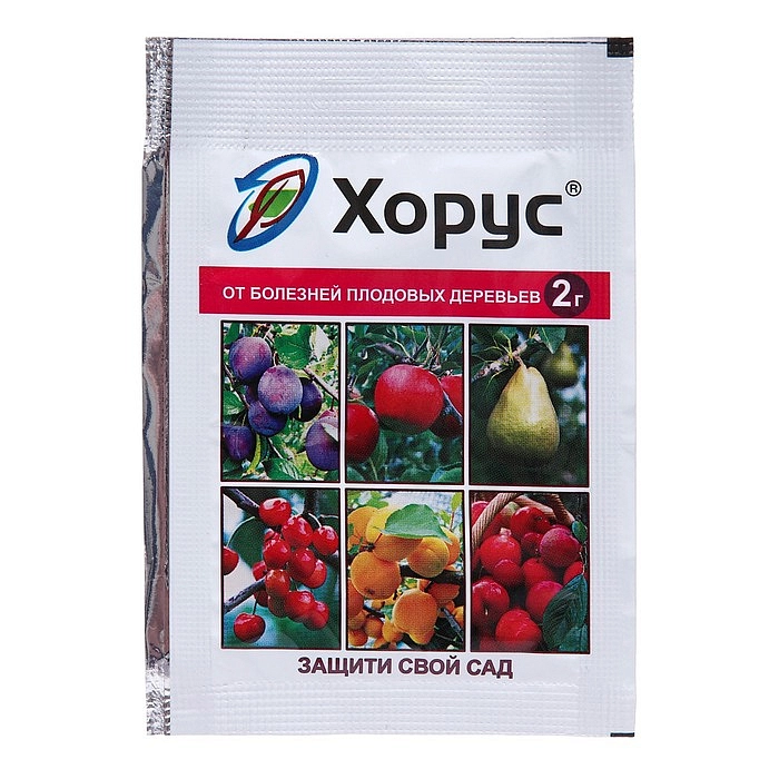 Фунгицид Хорус ЭТЛ 2г