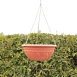 Подвесное кашпо Каллипсо