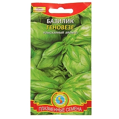 Семена Базилик